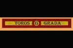 Logo toros grada seis