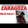 Zaragoza 2013