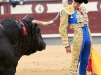 José Tomás en Madrid