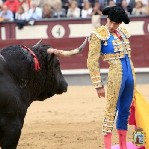 José Tomás en Madrid