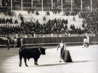 Antonio Fuentes en la plaza vieja de Madrid