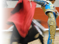 Matador de toros Sebastián Castella en la plaza de toros de pontevedra