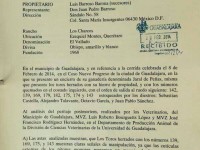 Veterinarios Guadalajara