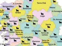 Galicia taurina