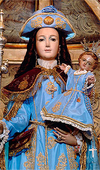 imagen Virgen Peregrina