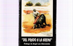 1995 DEL PRADO A LA ARENA