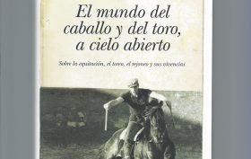 2012EL MUNDO DEL CABALLO Y DEL TORO, A CIELO ABIERTO