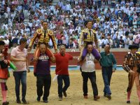 Peregrina 2017 primera de abono