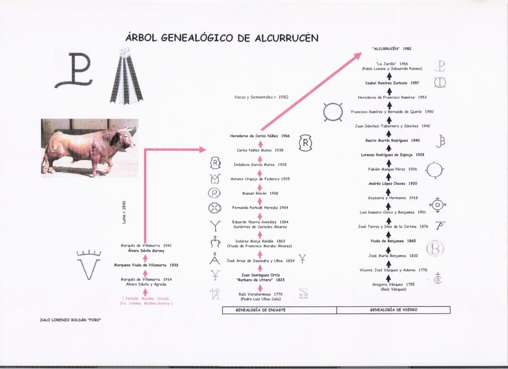 arbol_alcurrucen_foro