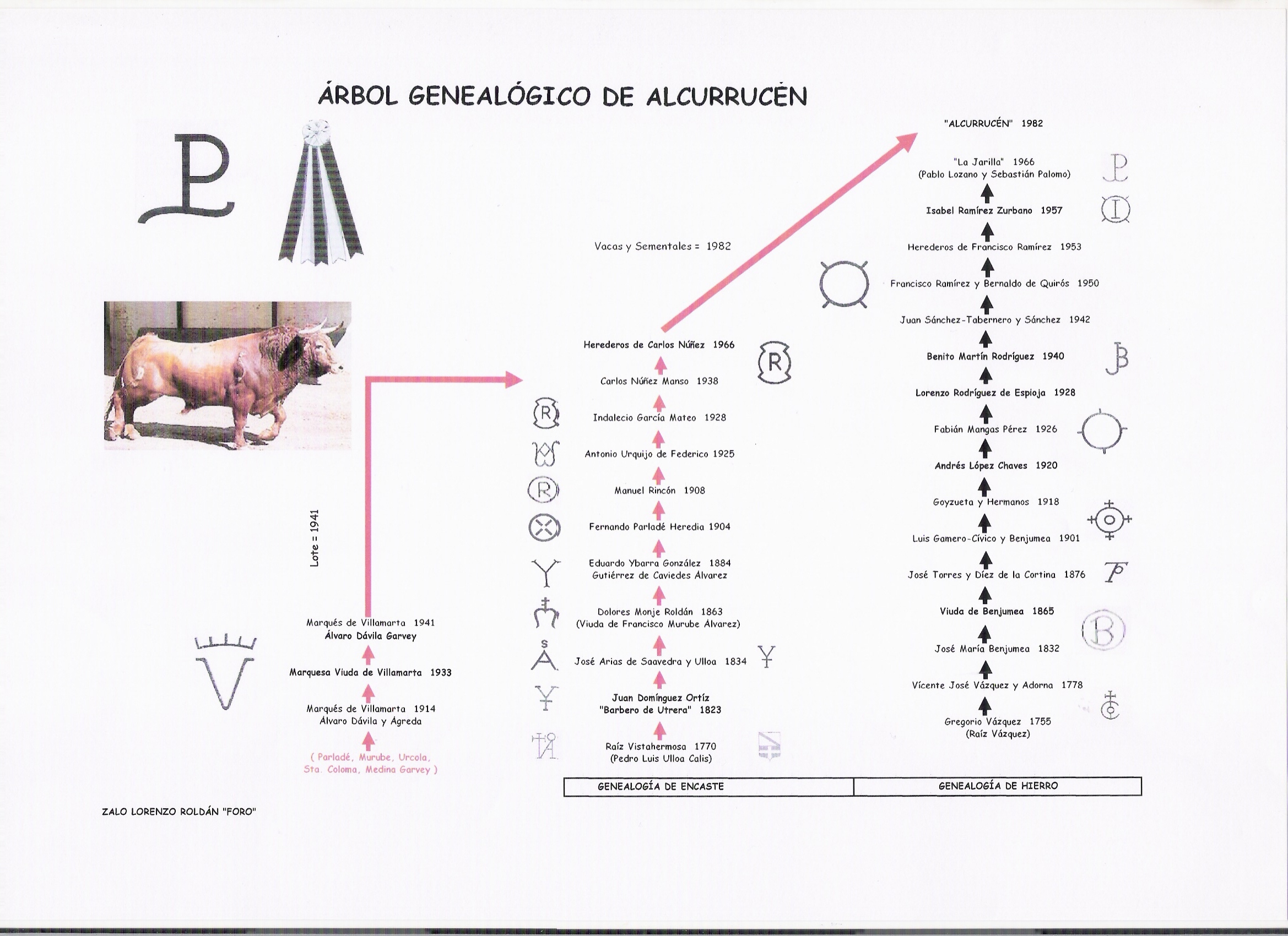 arbol_alcurrucen_foro