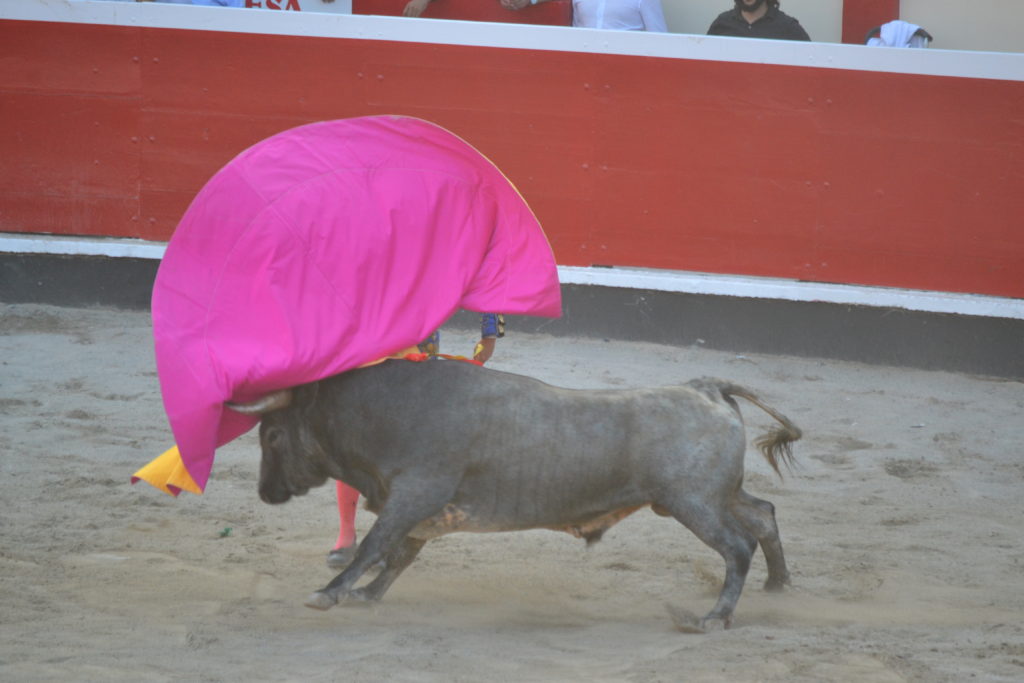 Azpeitia_2018_segunda_de_abono