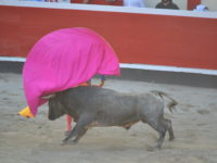 Azpeitia_2018_segunda_de_abono